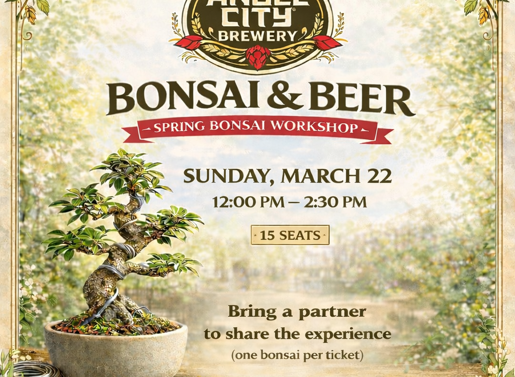 Bonsai and beer